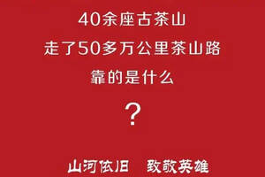 新品上市 | 呆总太豪气，5张棉纸抵1000元