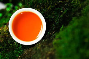 卷卷的红茶是什么茶