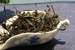 在新茶阶段，如何鉴别普洱茶的品质？