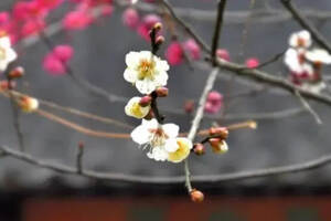 今日立春，养生牢记这“五字诀”