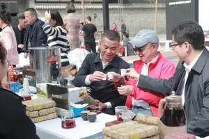 首届中国·雅安藏茶文化旅游节将于11月28日在雅安举行