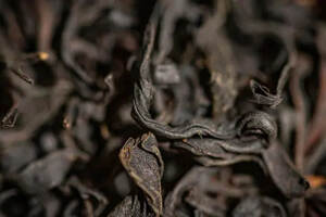 古树茶火的原因？对古树茶的既定印象对吗？乔木茶是古树茶吗？