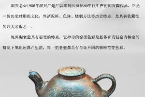 金砖茶城春茶会，体验老壶泡老茶