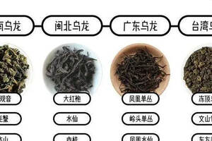 乌龙茶铁观音大红袍是一类茶叶吗