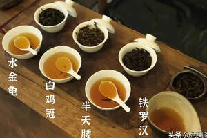 冲泡武夷岩茶有哪些小技巧呢？