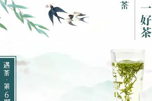 遇茶·第6期 | 春风十里 品一盏庐山云雾茶