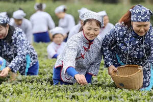 闻“春”而动，香飘万里---昨日这场活动嗨翻杨溪桥