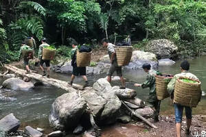 老杨普洱茶纵横谈之一——普洱茶价值投资之我见