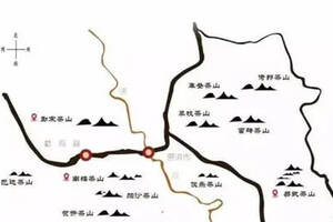 古六大茶山之首——攸乐山（基诺山），其普洱茶特点如何？