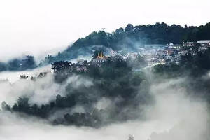 他说我梦见茶山下雨了，听懂这句话的人眼眶偷偷红了