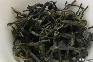 普洱茶，茶人的始发站，它与六大茶类的秘密是？