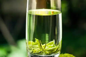 绿茶如何保存才能保持鲜爽感？关键在这个温度，你做对了吗？