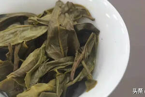 熟茶的核心选料标准，看山头还是技术？（上篇）