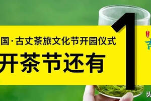 让我们相约第五届中国·古丈茶旅文化节开园仪式