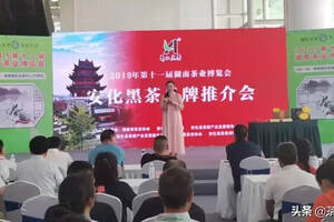 茶讯 | 安化黑茶组团参加2019湖南十一届茶博会