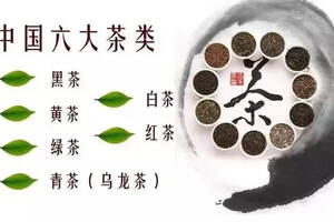 喝到一泡好茶要怎么形容？其实夸也有套路