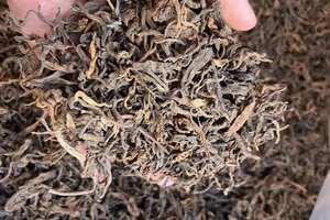 好茶2019年老挝边境高杆茶发酵，离易武刮风寨直线距