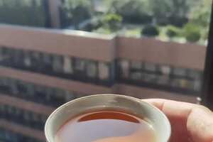 一杯有穿透力的老生茶

2002年勐库金奖野生茶