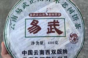 2006年象明茶厂易武乔木老树青饼