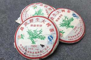 2006年福海茶厂7008易武野生大树茶广州头条
