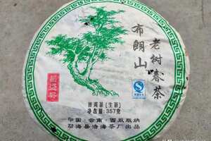 2006年布朗山老树春茶一口料制作茶味霸气十足