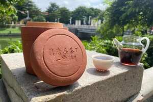 93年镇康茶厂土司贡茶熟茶。你有哪些看