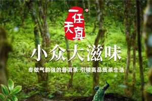 香扬水柔？说说你不知道的易武味——寻味云南茶山【易武】中