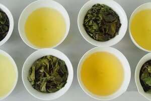 安溪茶叶四大色种