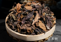 白茶特别是寿眉茶具有较高的收藏价值