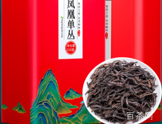 什么人喜欢凤凰单枞（丛）茶？