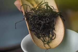 龙井茶属于绿茶还是青茶