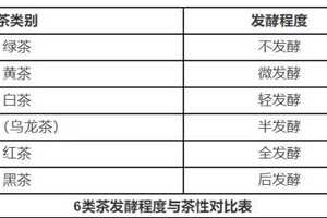 六大茶类茶叶的温性寒性表不同体质适合喝哪种茶？