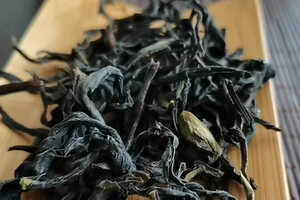 乌龙茶属于什么茶是普洱吗