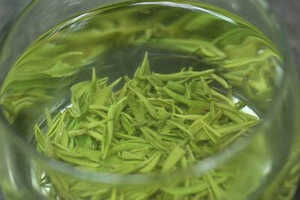 【茶功效】绿雪芽的功效与作用喝绿雪芽的好处