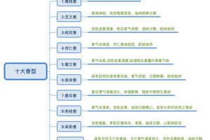 解读*凤凰单丛茶的十大香型（带茶树叶子图）