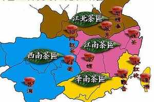 中国四大茶区及其代表茶