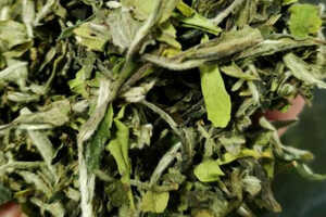 白茶的利润一般是多少，一亩白茶纯利润
