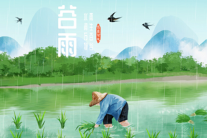 春夏交替喝什么茶好（适合谷雨前后喝的茶）