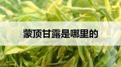 蒙顶甘露是哪里的？（蒙顶甘露是哪里的茶）