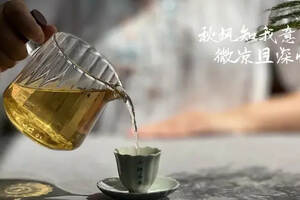 白茶国标只约束新白茶，管不了老白茶？所以老白茶是三不管地带？