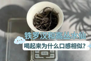 个原因，让你喝不出铁罗汉和高丛水仙的区别，看看踩了哪个坑？