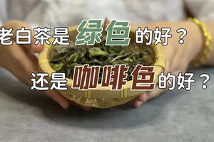 老白茶是绿色的好？还是咖啡色的好？这些真相能帮你省很多钱