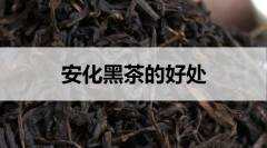 安化黑茶的好处有哪些？（喝安化黑茶有哪些好处）