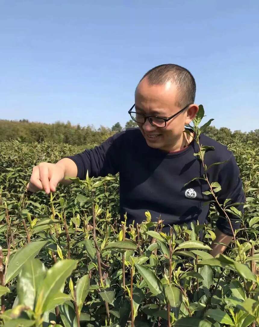 《三姑说壶》之泥料的陈腐2