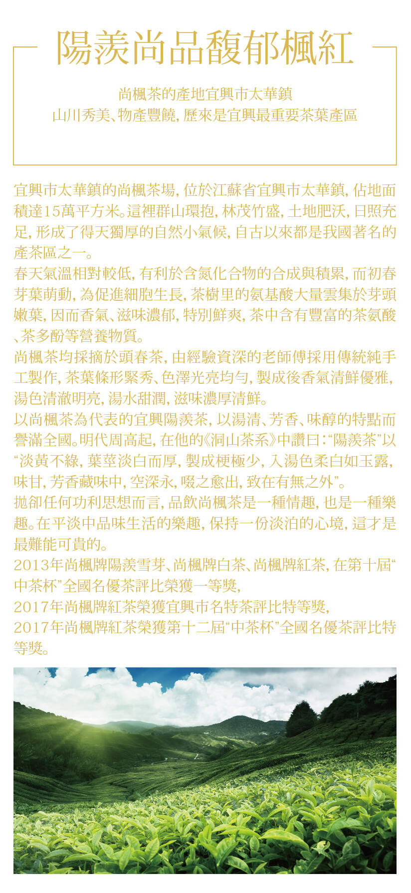 宜兴新茶正当鲜 尚枫邀您早品鉴