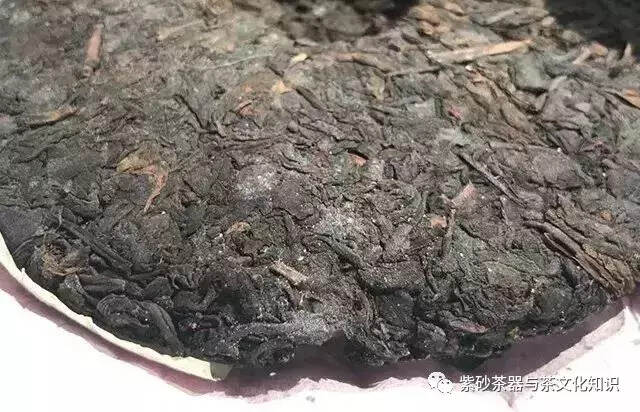 当心，茶有这几种气味就不好了！