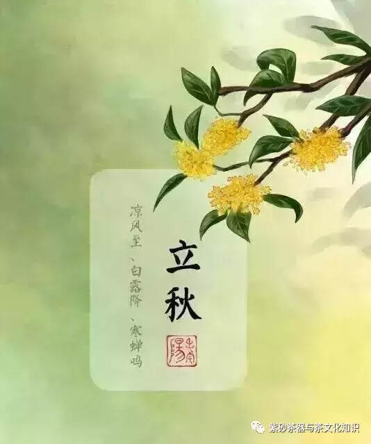 立秋之后，怎么喝茶养生？