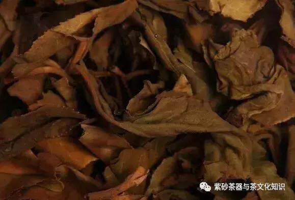 泡完的茶叶不要丢，仔细看能看出茶叶好坏