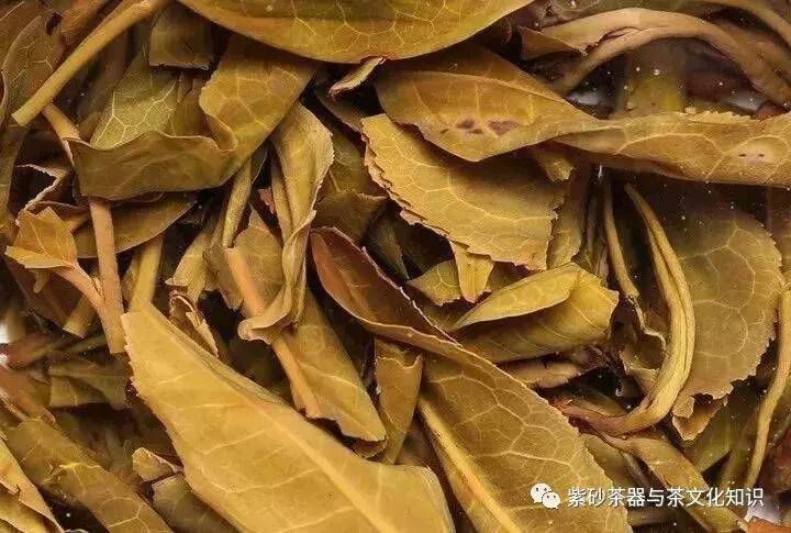 泡完的茶叶不要丢，仔细看能看出茶叶好坏