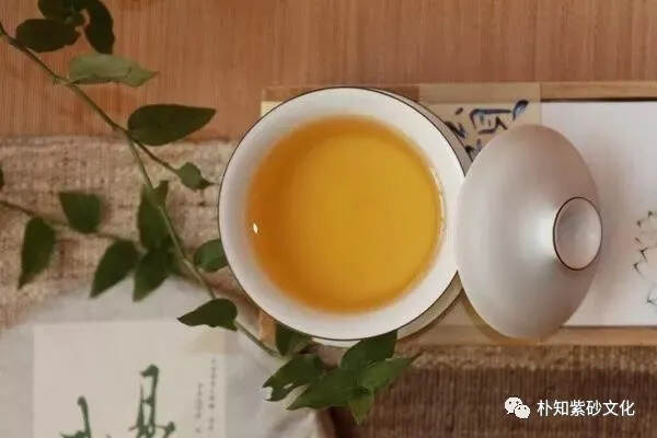 春茶的营养价值